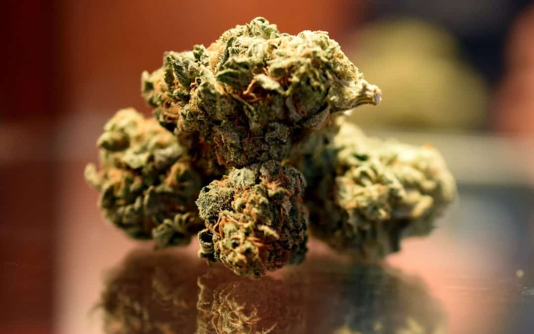 Featured Strain: Northern Lights