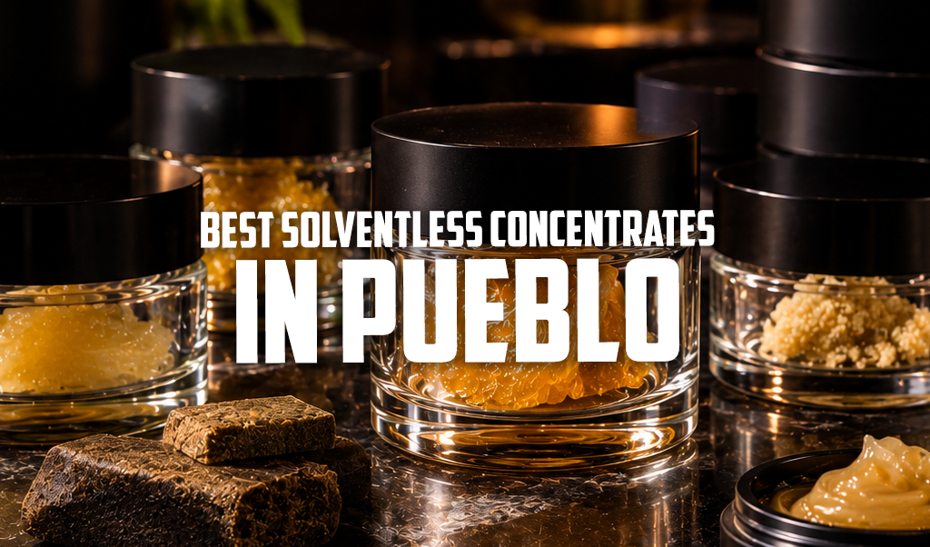 Best Solventless Concentrates in Pueblo