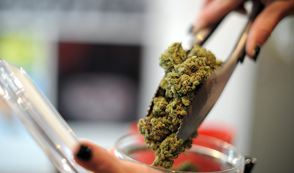 Colorado Springs Cannabis