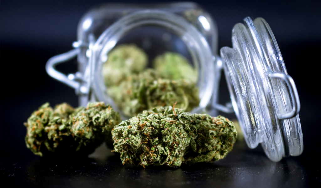 ColoradoSprings Cannabis 2026