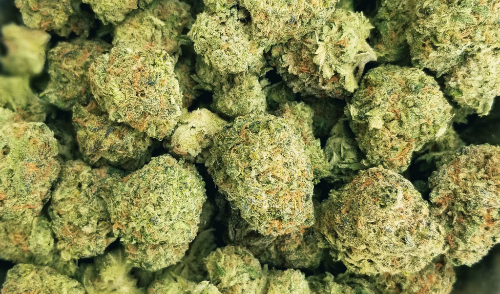 Pueblo Cannabis Dispensary Near Me