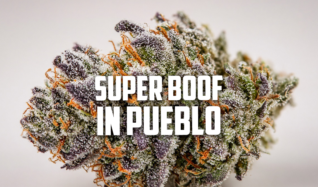 super boof in Pueblo