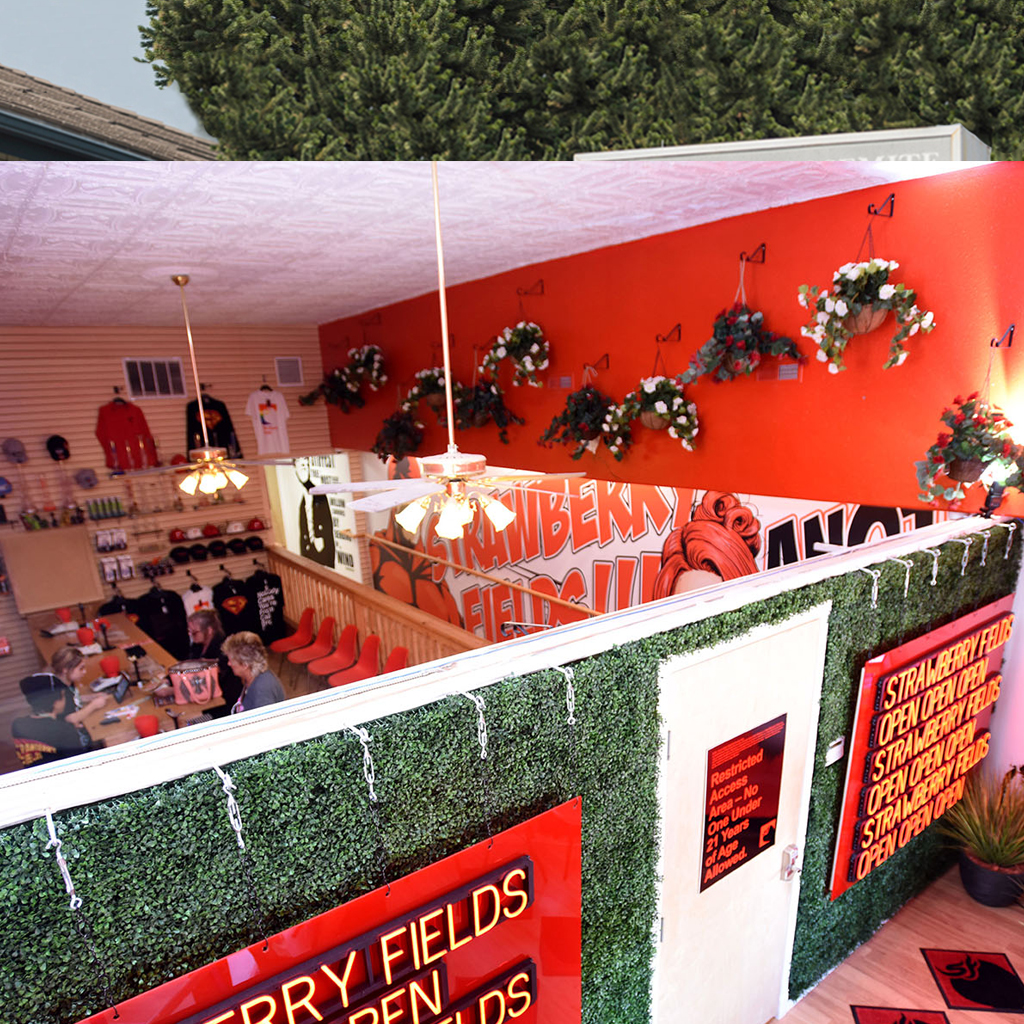 Trinidad Cannabis Menu